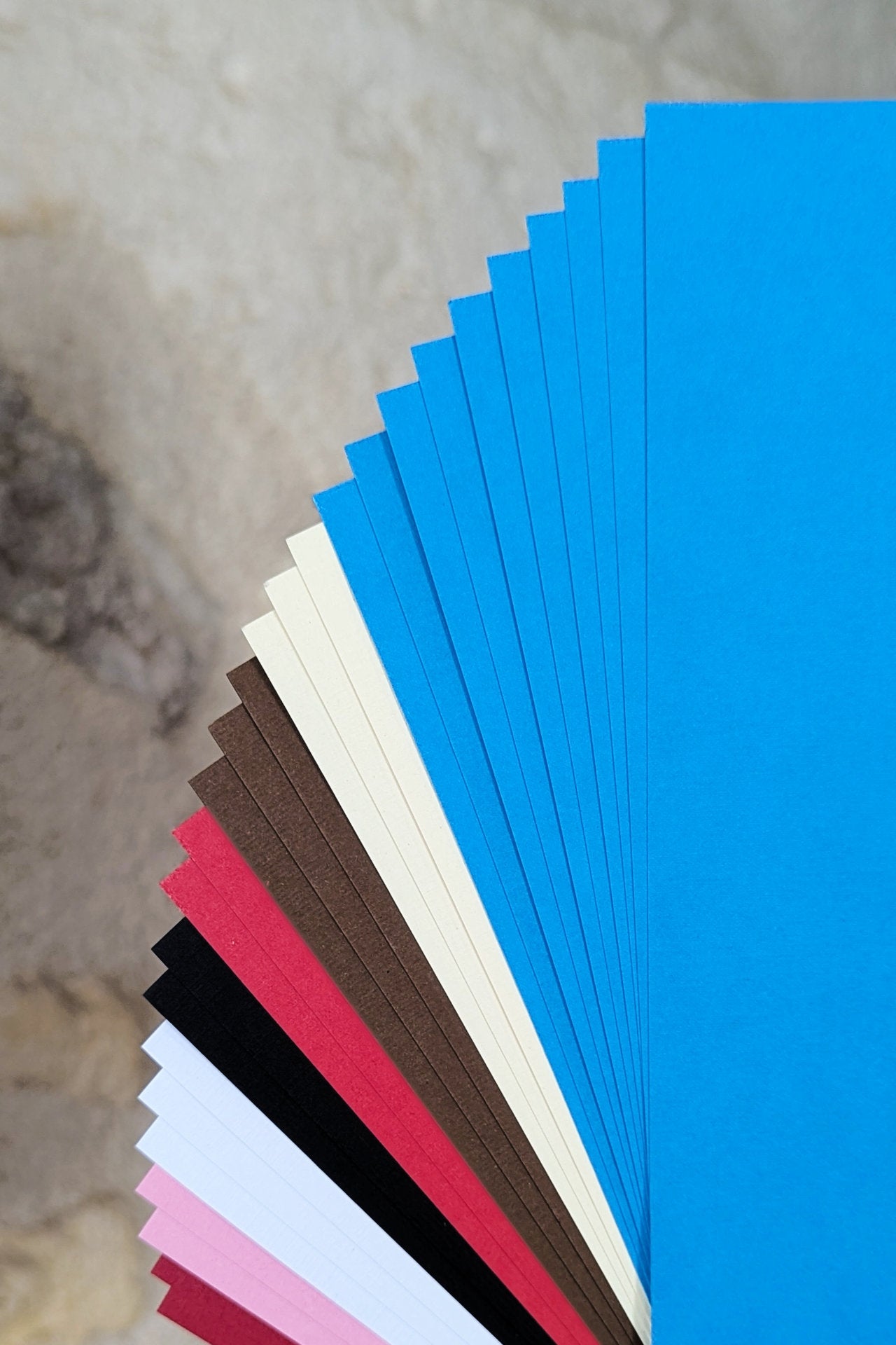 Paper Pack - Tortue d'Eau