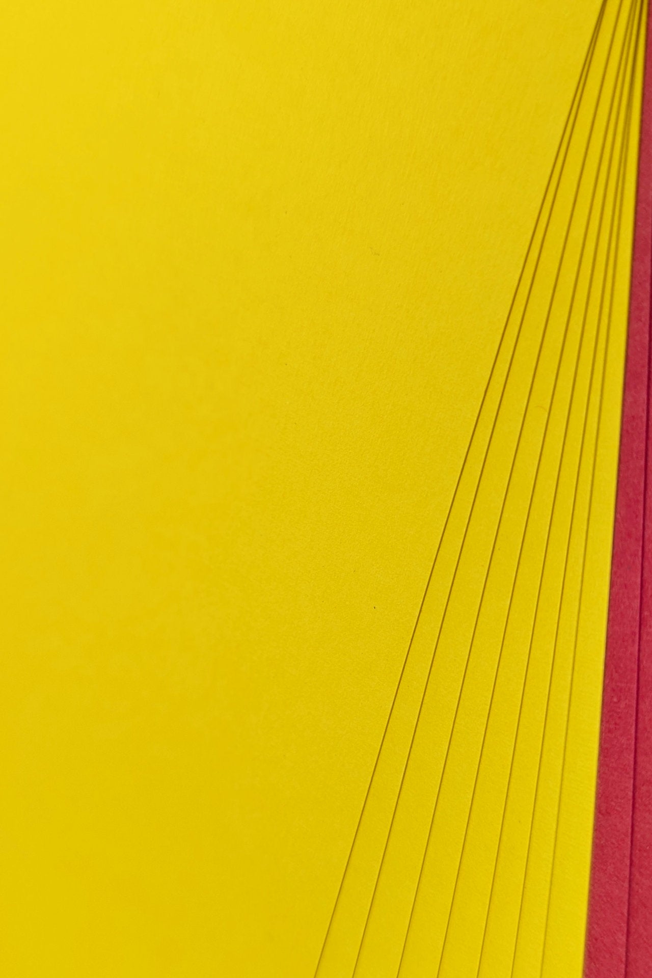 Paper Pack - Chapeau de paille