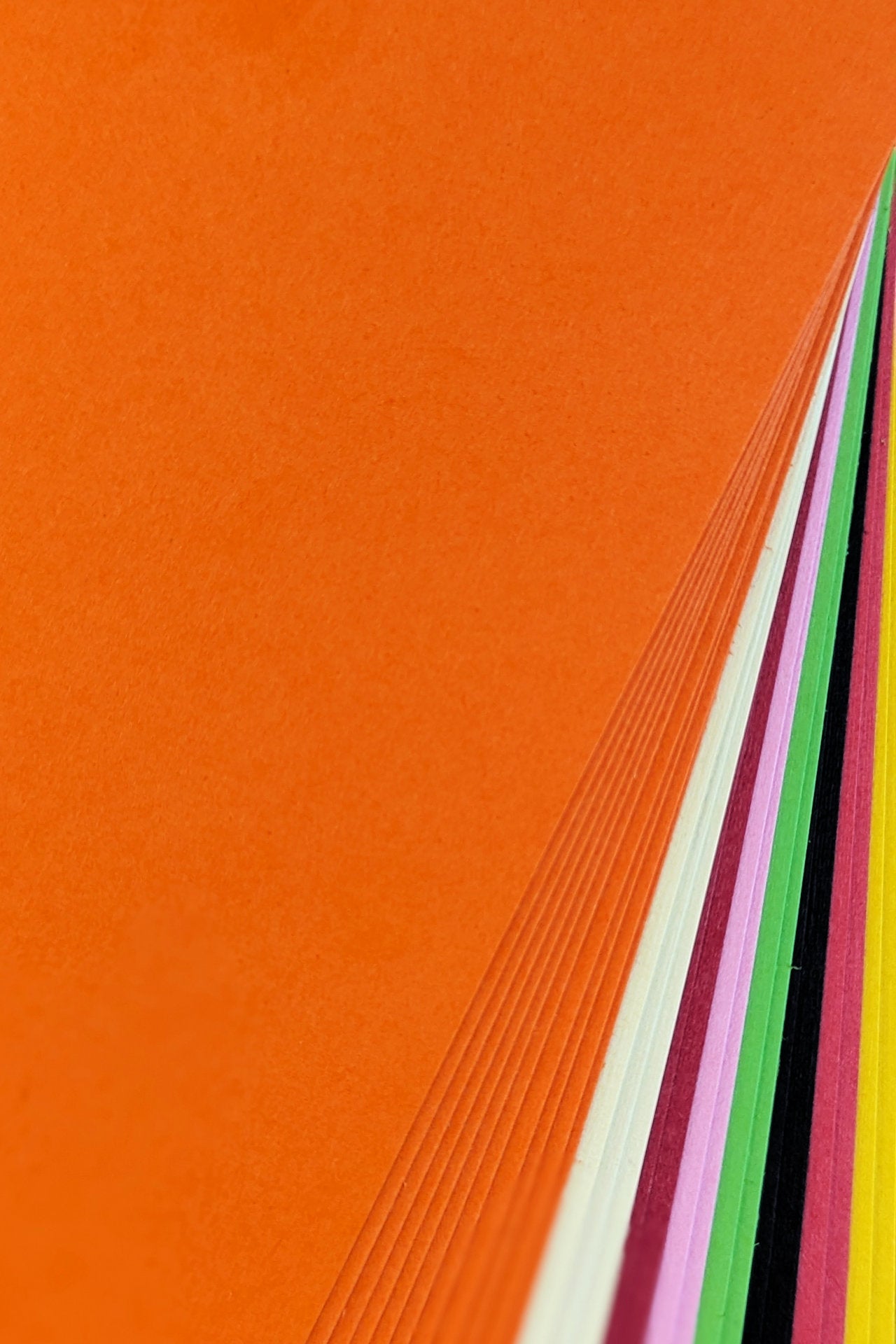 Paper Pack - Salamandre