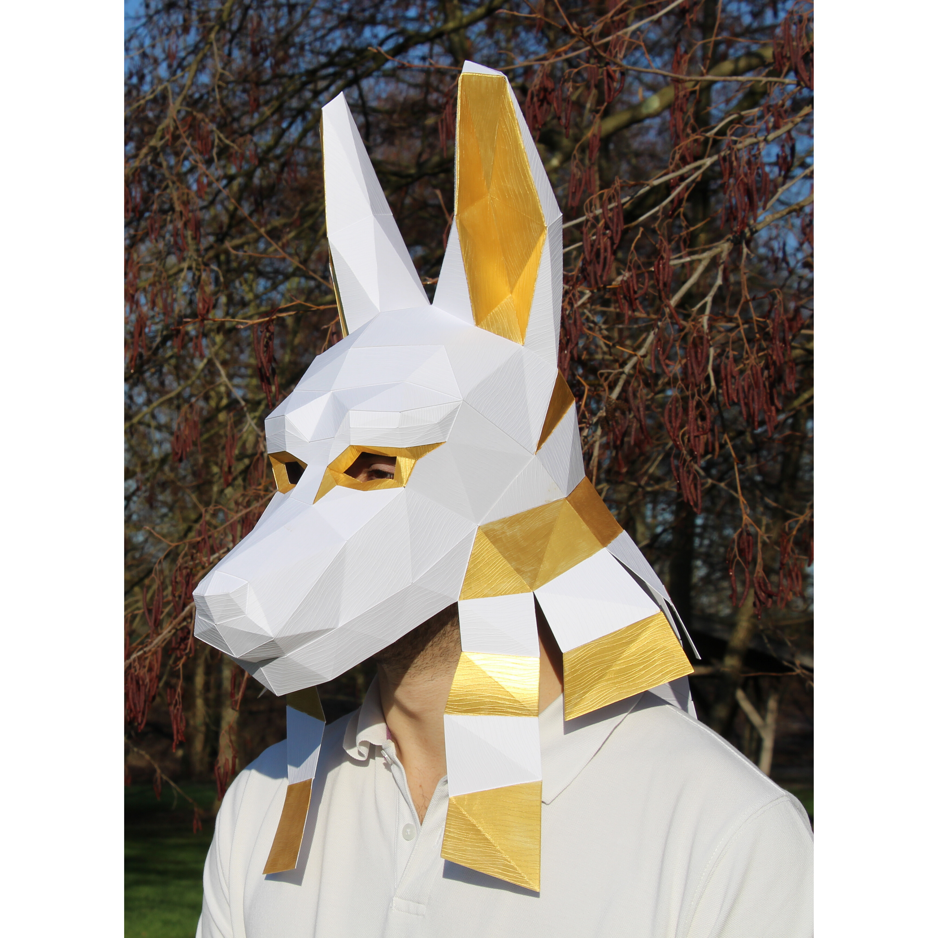 Patrons Masque Anubis