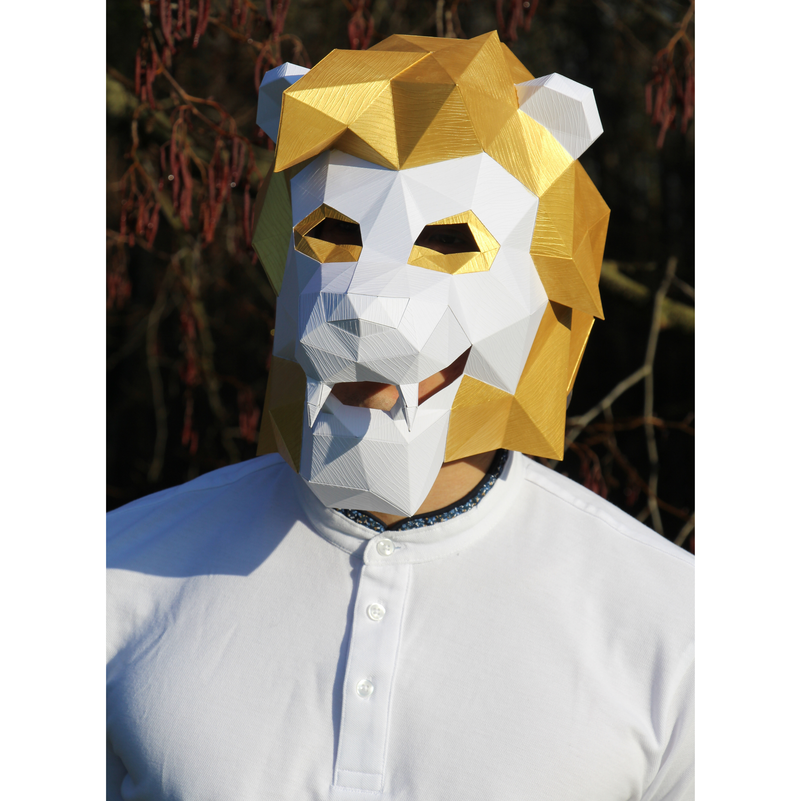 Patrons Masque Lion