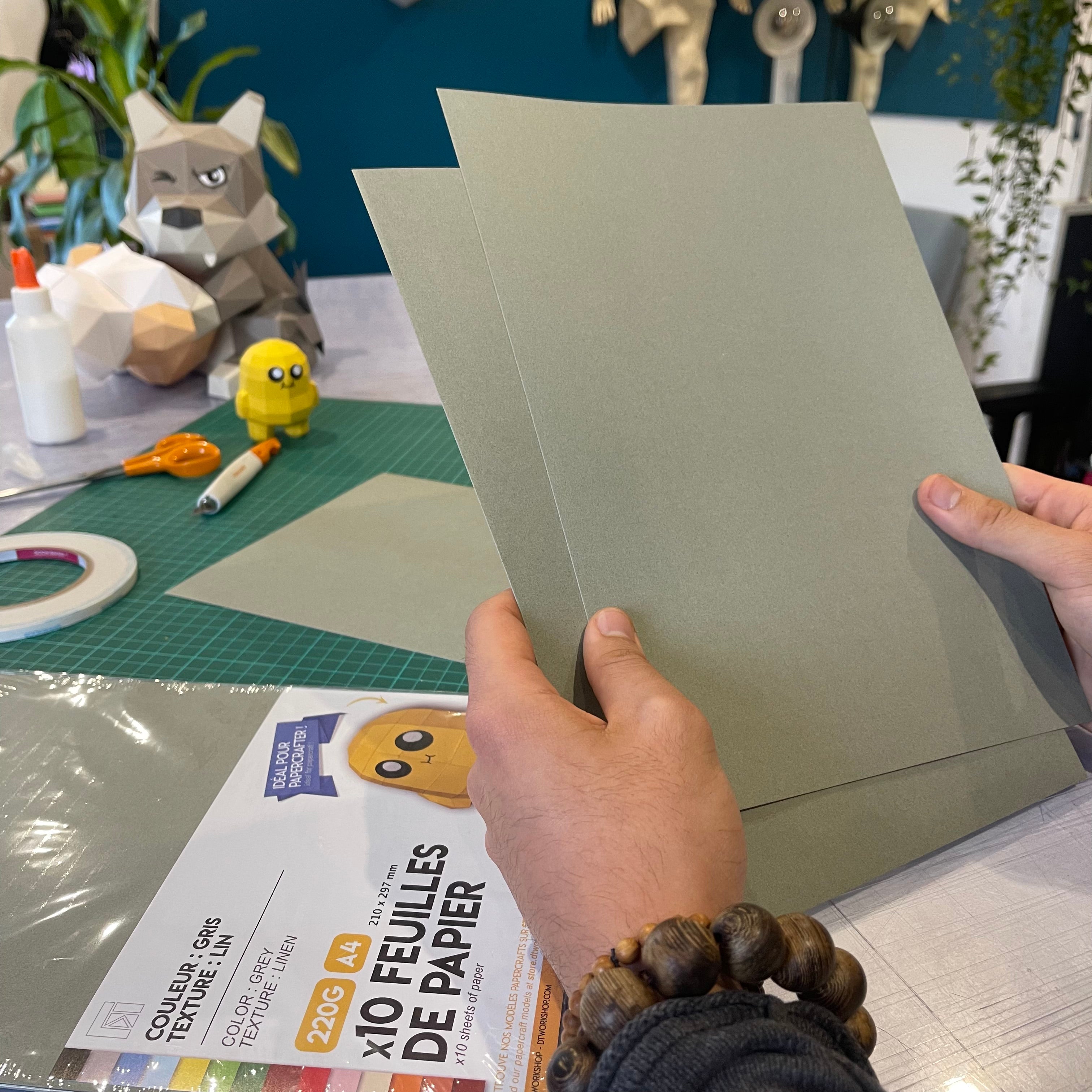 Lot 10 feuilles texturées 220g - Gris