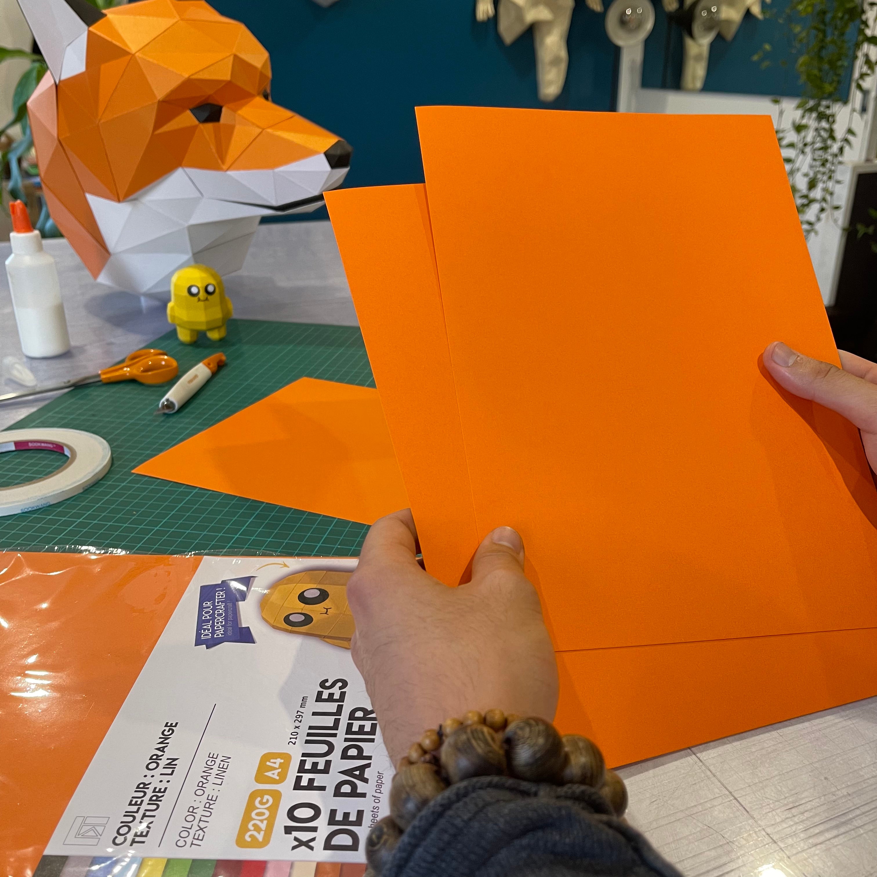 Lot 10 feuilles texturées 220g - Orange