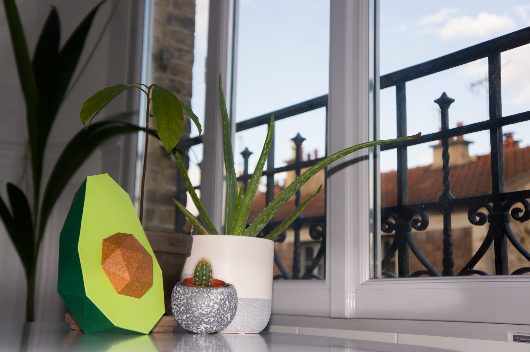 Patrons Avocat