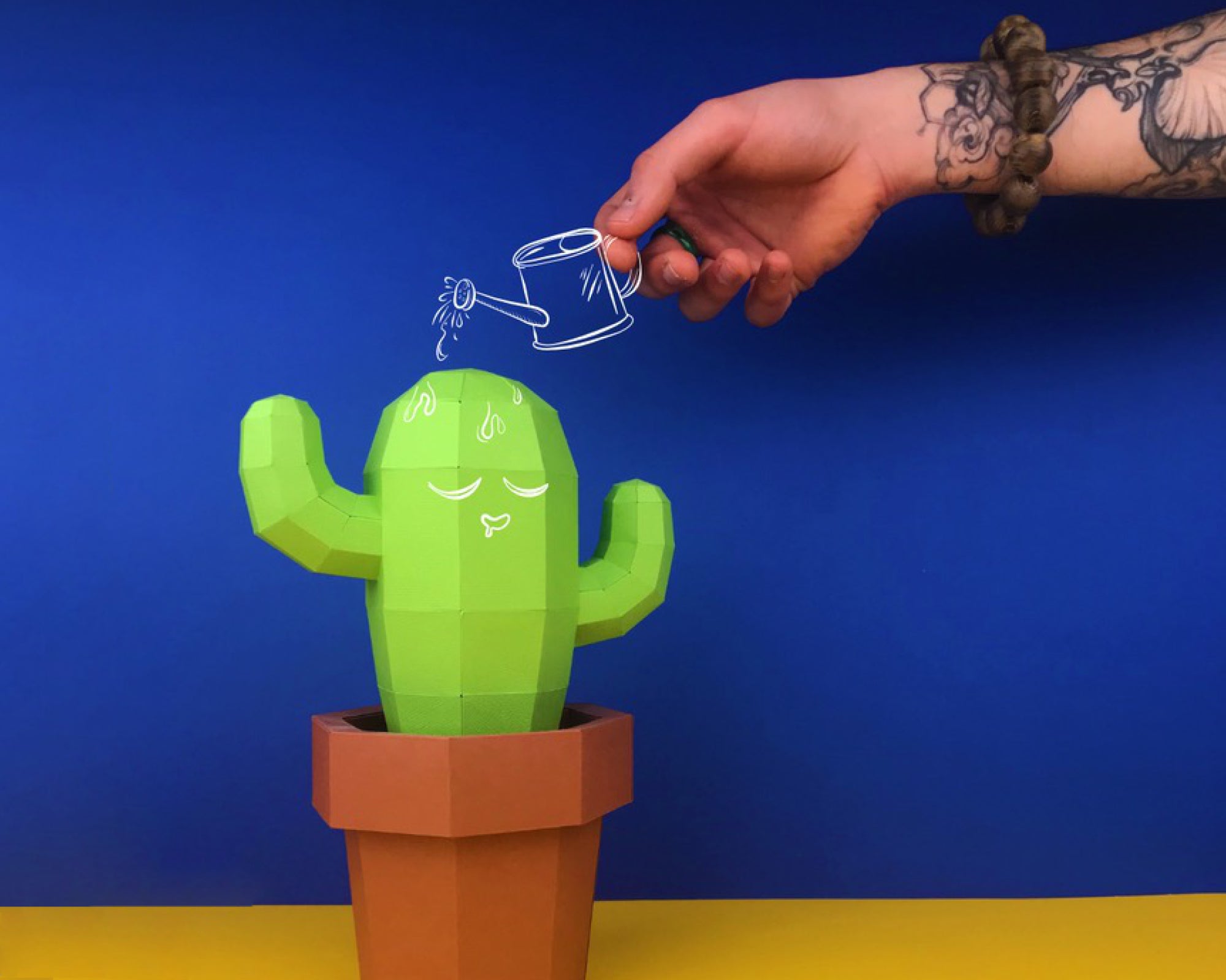 Patrons Cactus