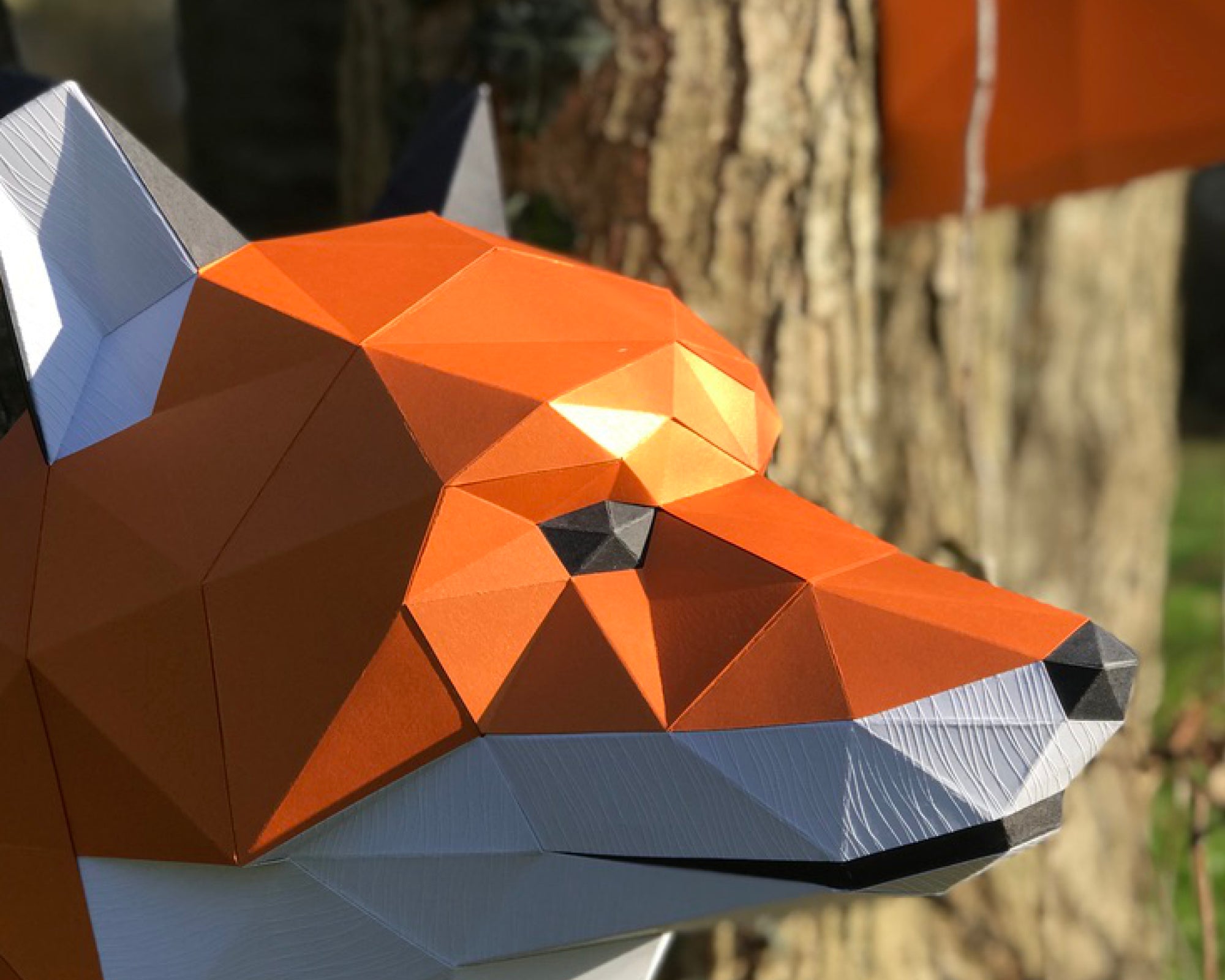 Patrons Renard