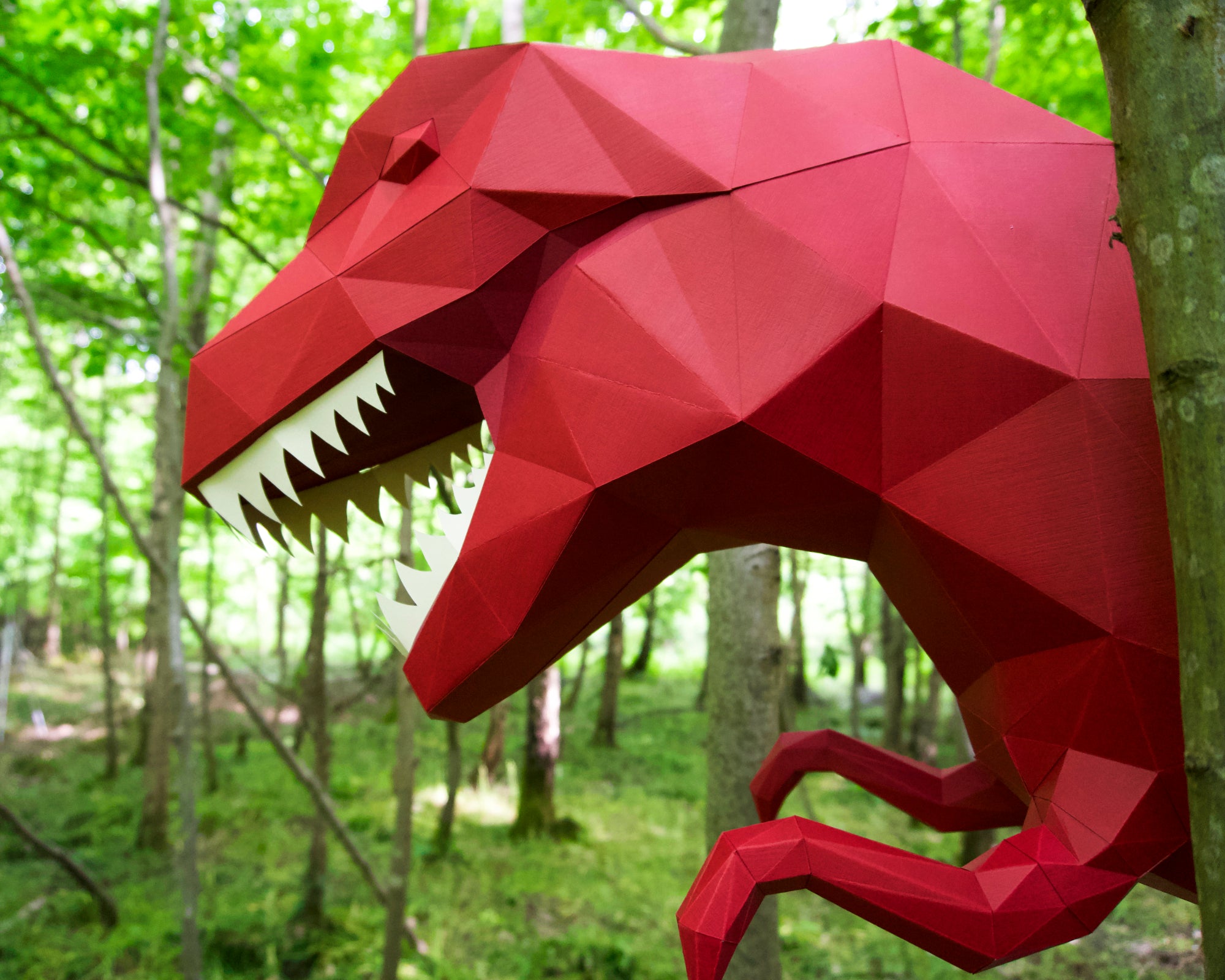 Patrons T-Rex