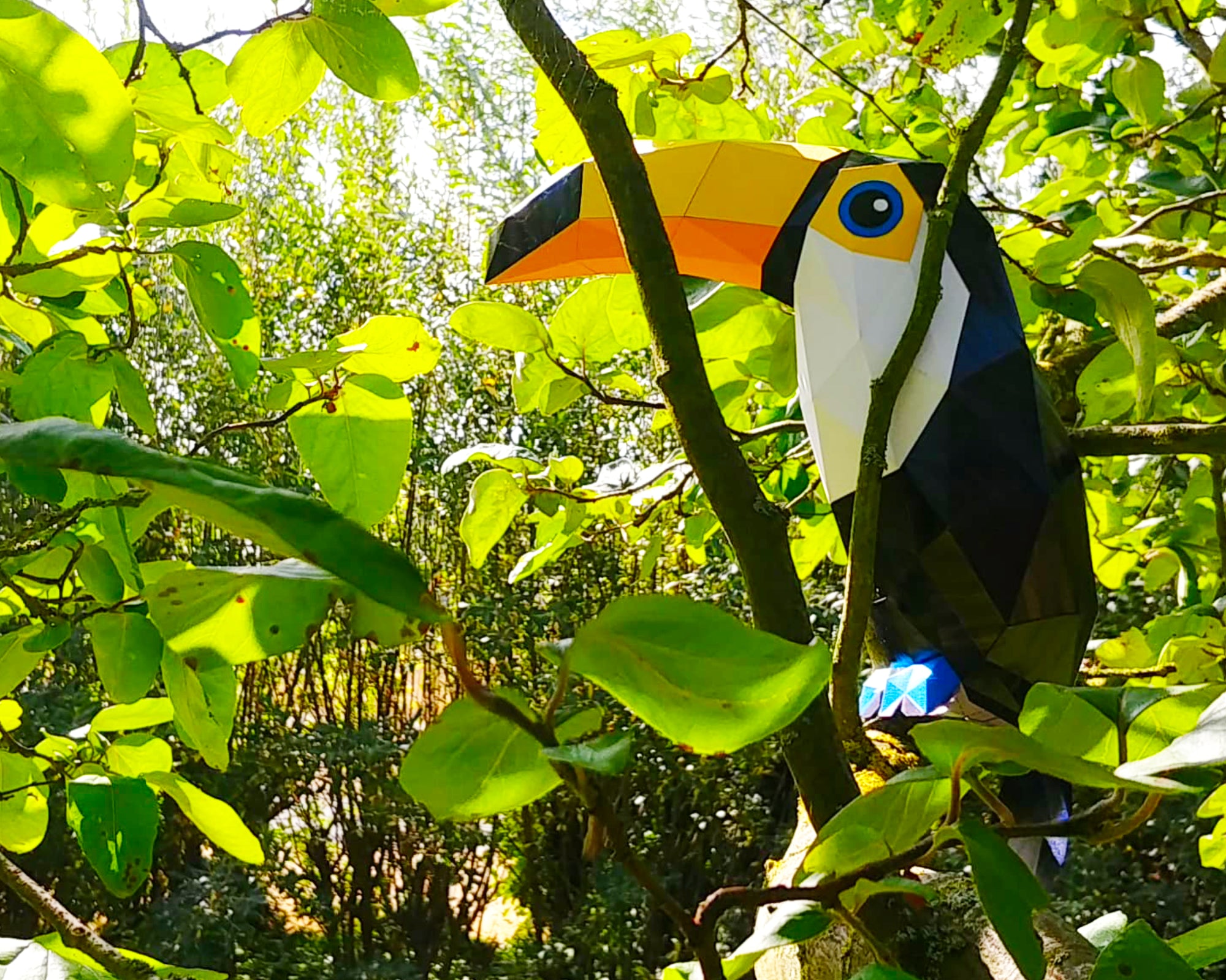 Patrons Toucan