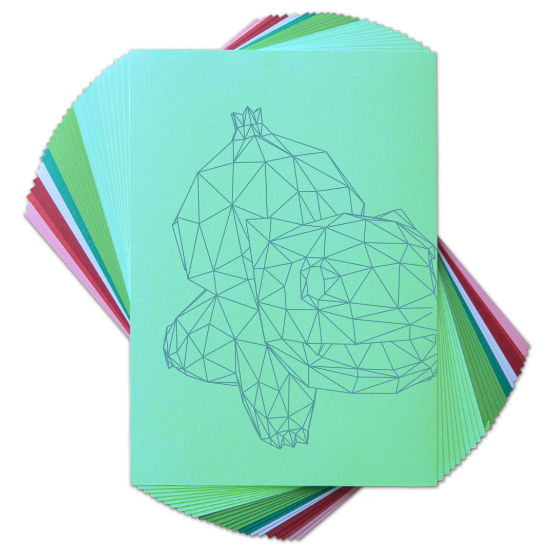 Paper Pack - Crapaud Feuille