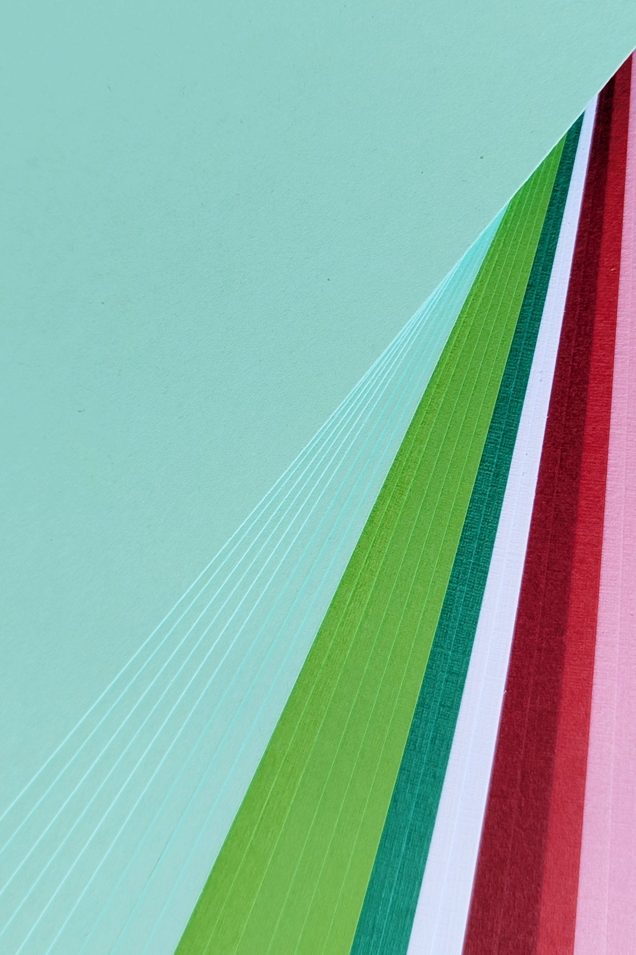 Paper Pack - Crapaud Feuille