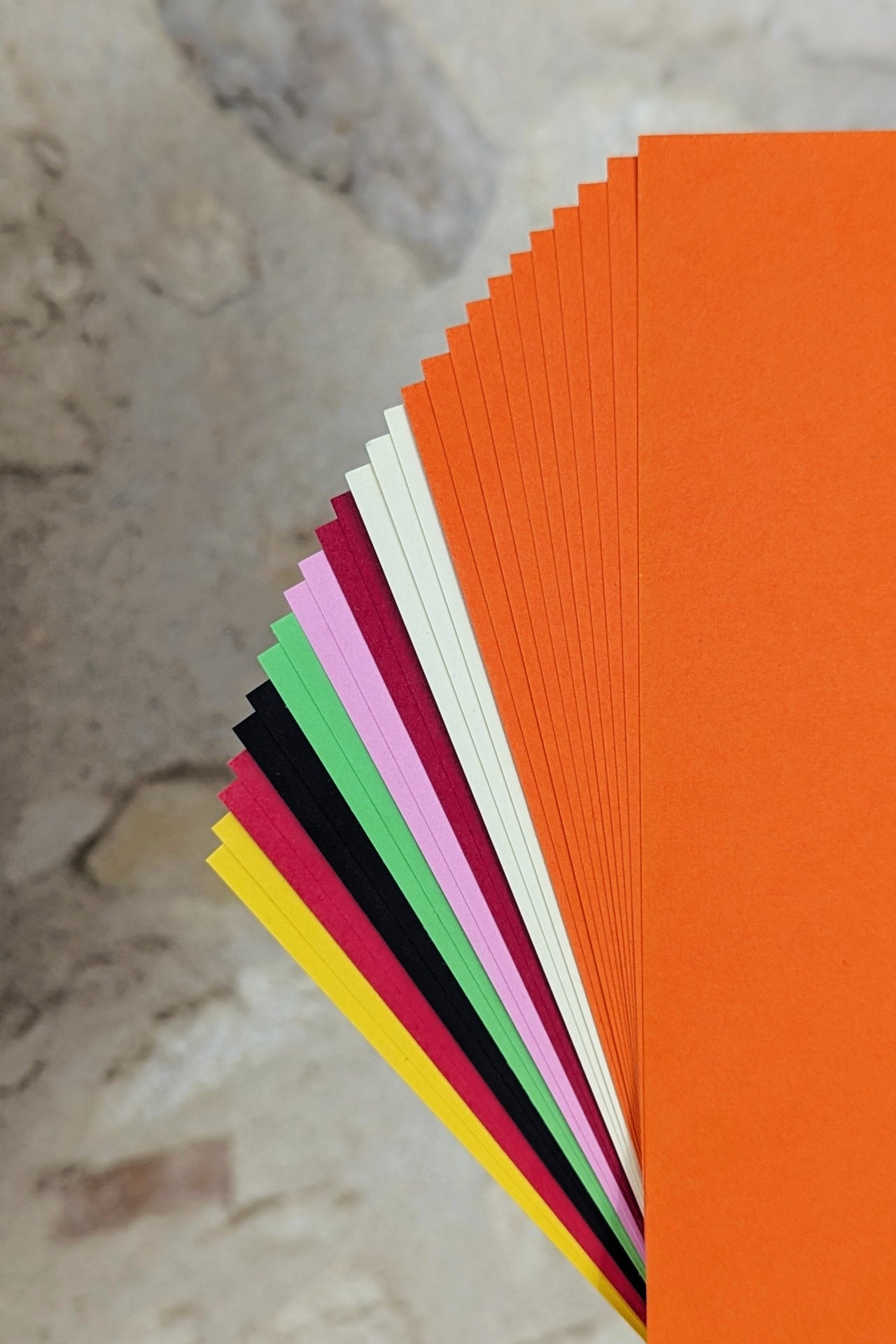 Paper Pack - Salamandre