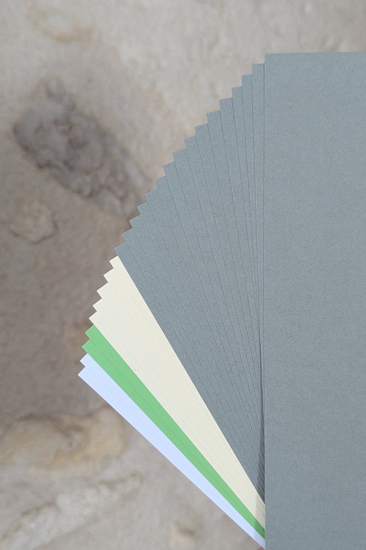 Paper Pack - Mon Gentil Voisin