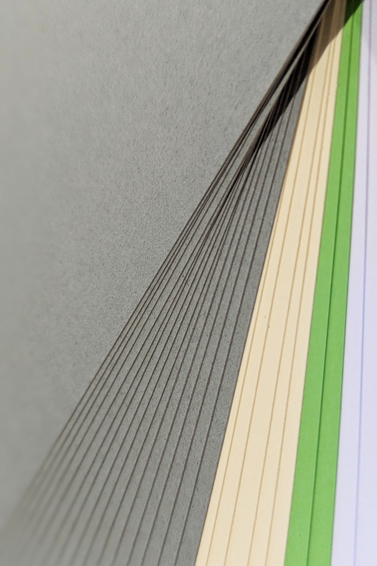 Paper Pack - Mon Gentil Voisin